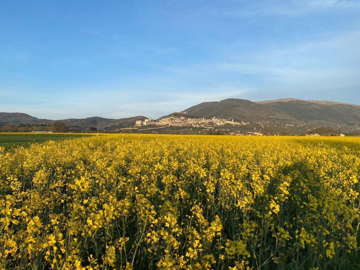 La Perla Di Assisi Hotel Buitenkant foto